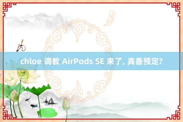 chloe 调教 AirPods SE 来了， 真香预定?