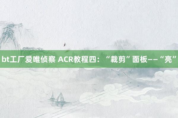 bt工厂爱唯侦察 ACR教程四：“裁剪”面板——“亮”