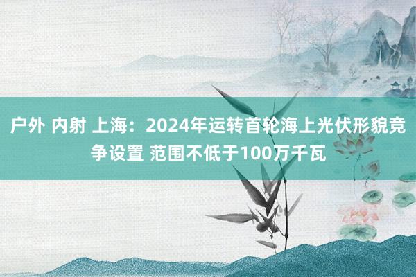 户外 内射 上海：2024年运转首轮海上光伏形貌竞争设置 范围不低于100万千瓦