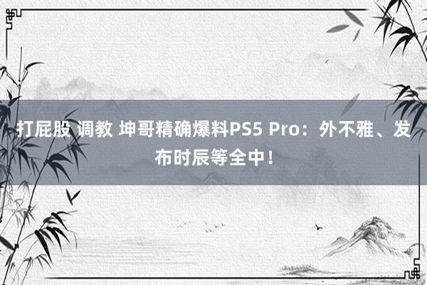 打屁股 调教 坤哥精确爆料PS5 Pro：外不雅、发布时辰等全中！