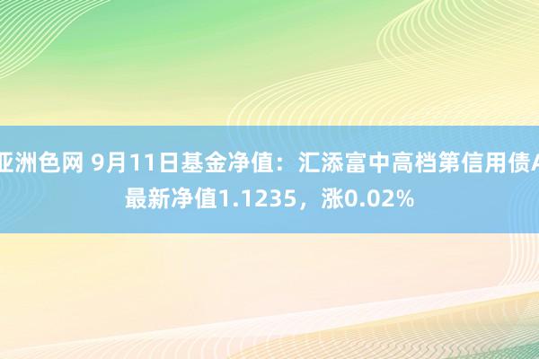 亚洲色网 9月11日基金净值：汇添富中高档第信用债A最新净值1.1235，涨0.02%