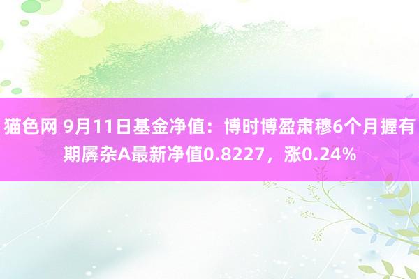 猫色网 9月11日基金净值：博时博盈肃穆6个月握有期羼杂A最新净值0.8227，涨0.24%