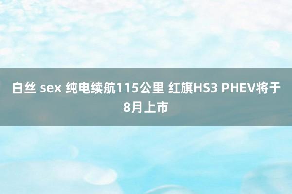 白丝 sex 纯电续航115公里 红旗HS3 PHEV将于8月上市