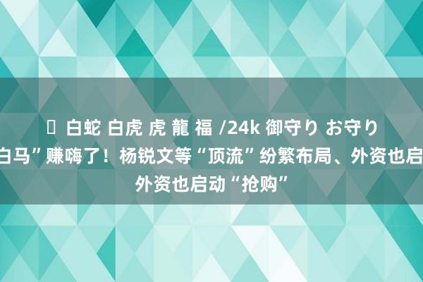 ✨白蛇 白虎 虎 龍 福 /24k 御守り お守り 这批“大白马”赚嗨了！杨锐文等“顶流”纷繁布局、外资也启动“抢购”