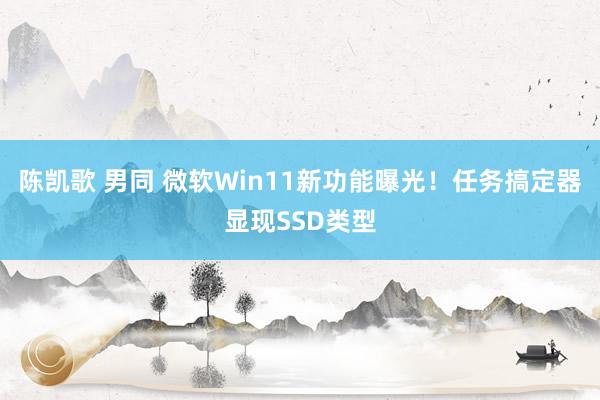 陈凯歌 男同 微软Win11新功能曝光！任务搞定器显现SSD类型