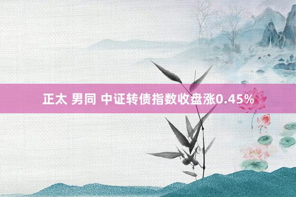 正太 男同 中证转债指数收盘涨0.45%