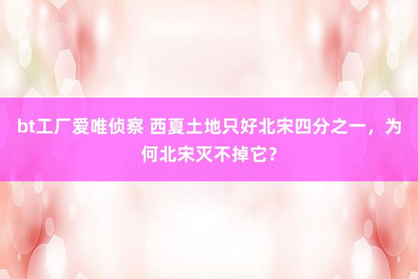 bt工厂爱唯侦察 西夏土地只好北宋四分之一，为何北宋灭不掉它？