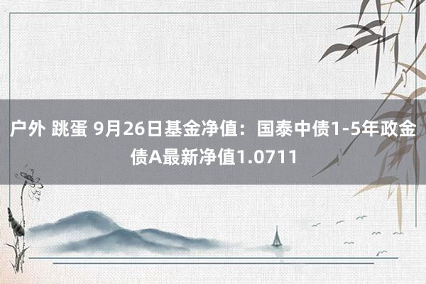 户外 跳蛋 9月26日基金净值：国泰中债1-5年政金债A最新净值1.0711