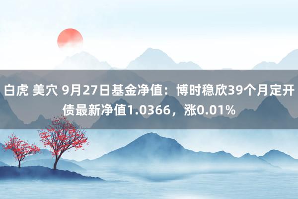 白虎 美穴 9月27日基金净值：博时稳欣39个月定开债最新净值1.0366，涨0.01%