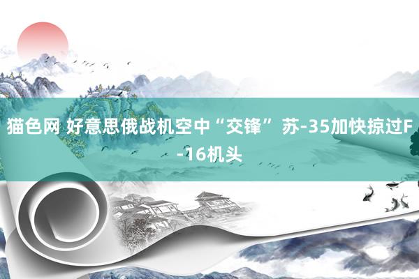 猫色网 好意思俄战机空中“交锋” 苏-35加快掠过F-16机头