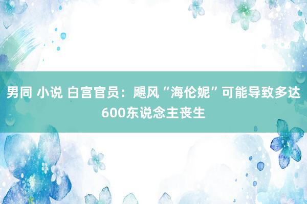 男同 小说 白宫官员：飓风“海伦妮”可能导致多达600东说念主丧生