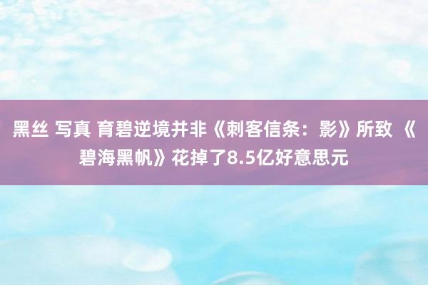 黑丝 写真 育碧逆境并非《刺客信条：影》所致 《碧海黑帆》花掉了8.5亿好意思元