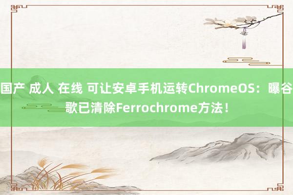 国产 成人 在线 可让安卓手机运转ChromeOS：曝谷歌已清除Ferrochrome方法！