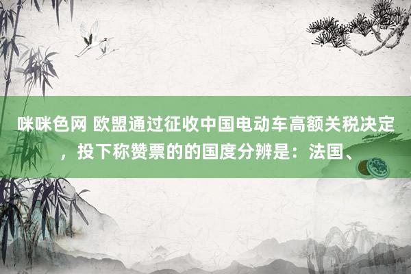 咪咪色网 欧盟通过征收中国电动车高额关税决定，投下称赞票的的国度分辨是：法国、