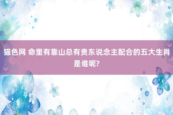 猫色网 命里有靠山总有贵东说念主配合的五大生肖是谁呢?