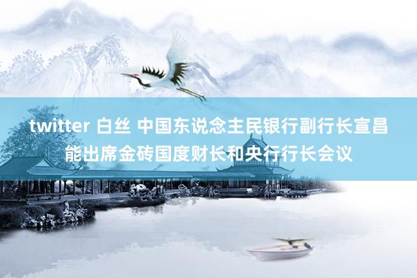 twitter 白丝 中国东说念主民银行副行长宣昌能出席金砖国度财长和央行行长会议