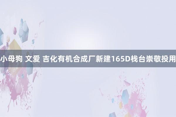 小母狗 文爱 吉化有机合成厂新建165D栈台崇敬投用