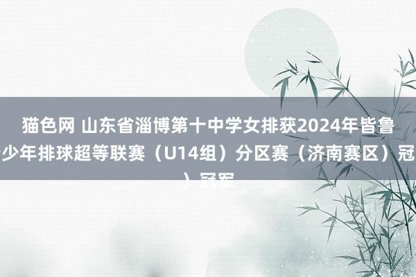 猫色网 山东省淄博第十中学女排获2024年皆鲁青少年排球超等联赛（U14组）分区赛（济南赛区）冠军