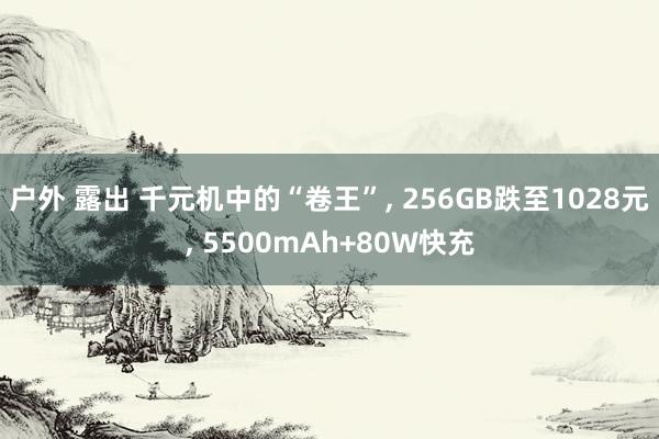 户外 露出 千元机中的“卷王”， 256GB跌至1028元， 5500mAh+80W快充