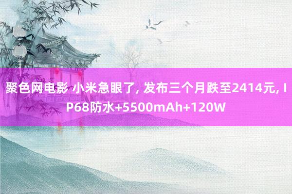 聚色网电影 小米急眼了， 发布三个月跌至2414元， IP68防水+5500mAh+120W