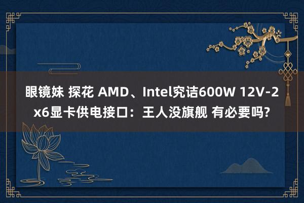 眼镜妹 探花 AMD、Intel究诘600W 12V-2x6显卡供电接口：王人没旗舰 有必要吗?