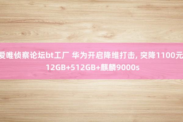 爱唯侦察论坛bt工厂 华为开启降维打击， 突降1100元， 12GB+512GB+麒麟9000s