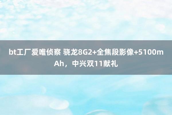 bt工厂爱唯侦察 骁龙8G2+全焦段影像+5100mAh，中兴双11献礼