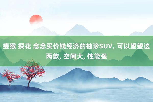 瘦猴 探花 念念买价钱经济的袖珍SUV， 可以望望这两款， 空间大， 性能强