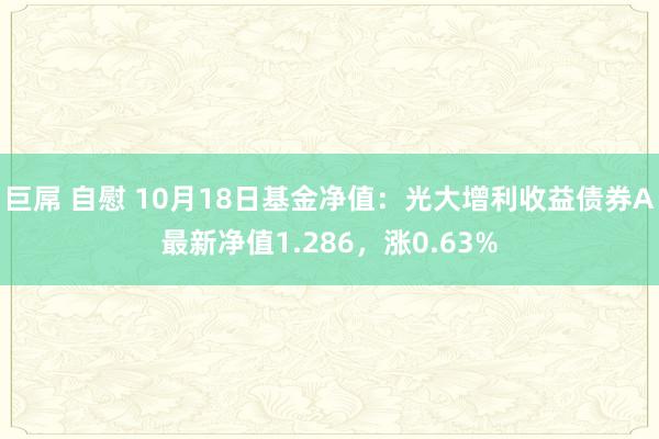 巨屌 自慰 10月18日基金净值：光大增利收益债券A最新净值1.286，涨0.63%