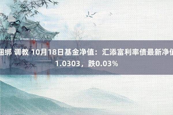 捆绑 调教 10月18日基金净值：汇添富利率债最新净值1.0303，跌0.03%