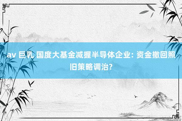 av 巨乳 国度大基金减握半导体企业: 资金撤回照旧策略调治?