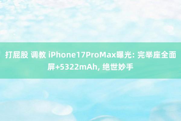 打屁股 调教 iPhone17ProMax曝光: 完举座全面屏+5322mAh， 绝世妙手