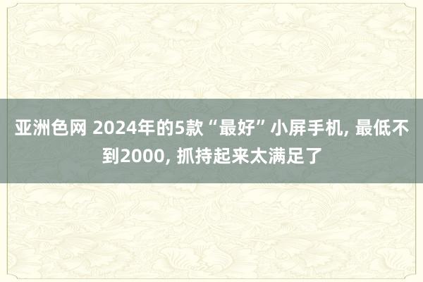 亚洲色网 2024年的5款“最好”小屏手机， 最低不到2000， 抓持起来太满足了