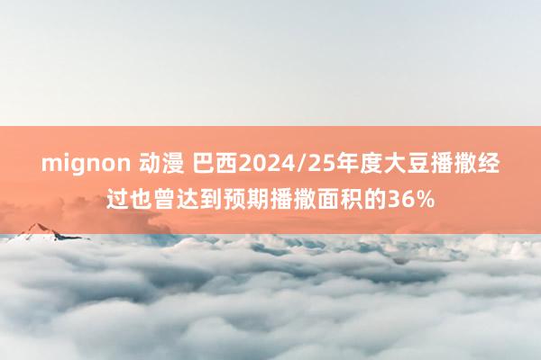 mignon 动漫 巴西2024/25年度大豆播撒经过也曾达到预期播撒面积的36%