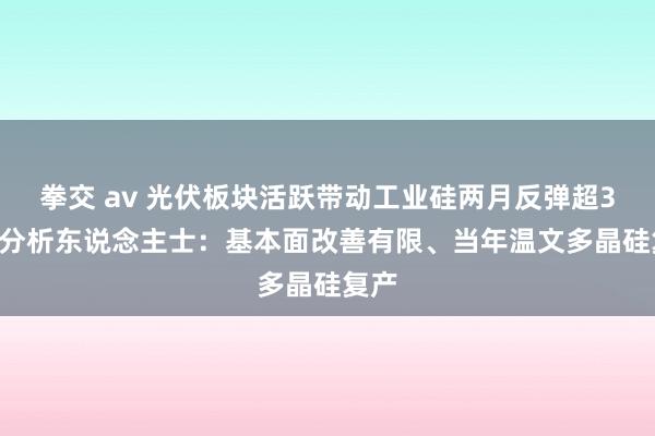 拳交 av 光伏板块活跃带动工业硅两月反弹超30% 分析东说念主士：基本面改善有限、当年温文多晶硅复产