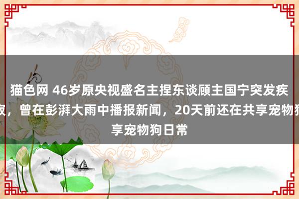 猫色网 46岁原央视盛名主捏东谈顾主国宁突发疾病圆寂，曾在彭湃大雨中播报新闻，20天前还在共享宠物狗日常