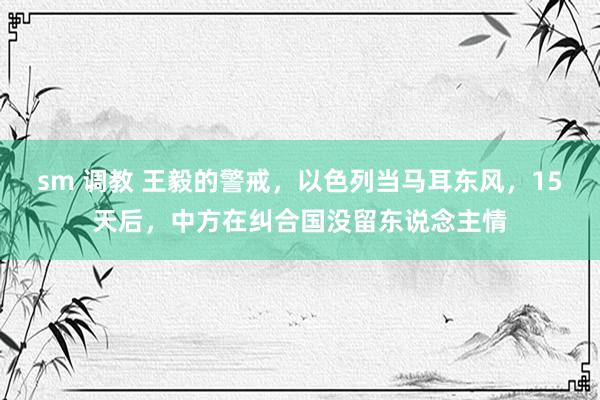 sm 调教 王毅的警戒，以色列当马耳东风，15天后，中方在纠合国没留东说念主情