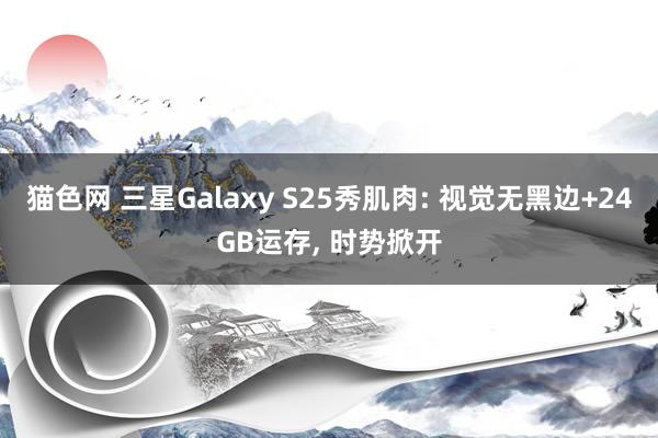 猫色网 三星Galaxy S25秀肌肉: 视觉无黑边+24GB运存， 时势掀开