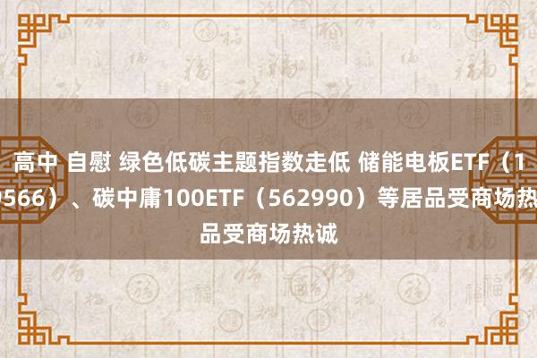 高中 自慰 绿色低碳主题指数走低 储能电板ETF（159566）、碳中庸100ETF（562990）等居品受商场热诚