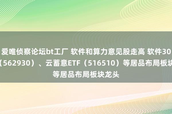 爱唯侦察论坛bt工厂 软件和算力意见股走高 软件30ETF（562930）、云蓄意ETF（516510）等居品布局板块龙头