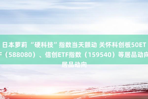 日本萝莉 “硬科技”指数当天颤动 关怀科创板50ETF（588080）、信创ETF指数（159540）等居品动向