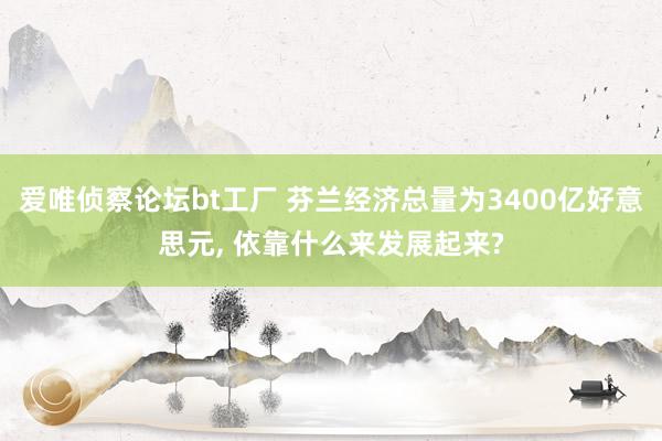 爱唯侦察论坛bt工厂 芬兰经济总量为3400亿好意思元， 依靠什么来发展起来?