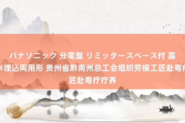 パナソニック 分電盤 リミッタースペース付 露出・半埋込両用形 贵州省黔南州总工会组织劳模工匠赴粤疗疗养