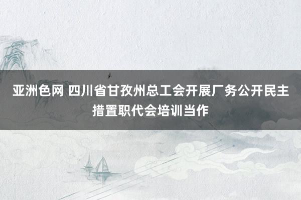 亚洲色网 四川省甘孜州总工会开展厂务公开民主措置职代会培训当作