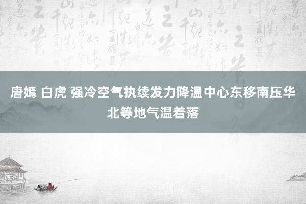 唐嫣 白虎 强冷空气执续发力降温中心东移南压华北等地气温着落