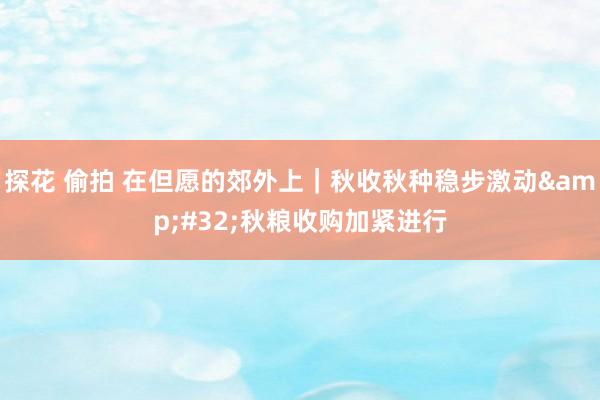 探花 偷拍 在但愿的郊外上｜秋收秋种稳步激动&#32;秋粮收购加紧进行