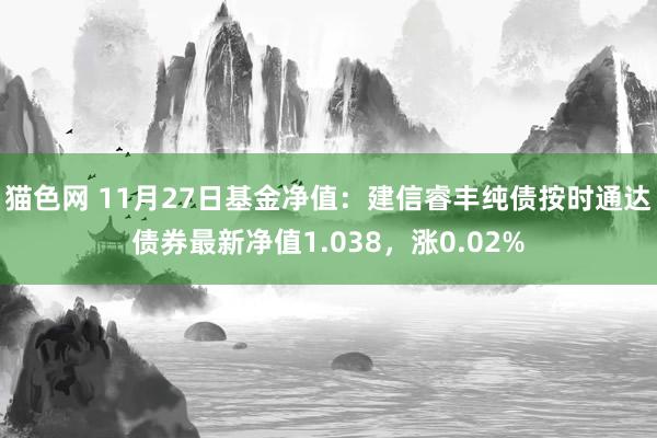 猫色网 11月27日基金净值：建信睿丰纯债按时通达债券最新净值1.038，涨0.02%