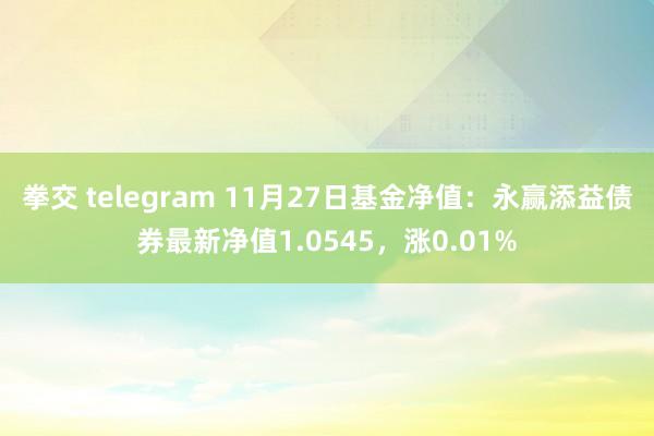 拳交 telegram 11月27日基金净值：永赢添益债券最新净值1.0545，涨0.01%