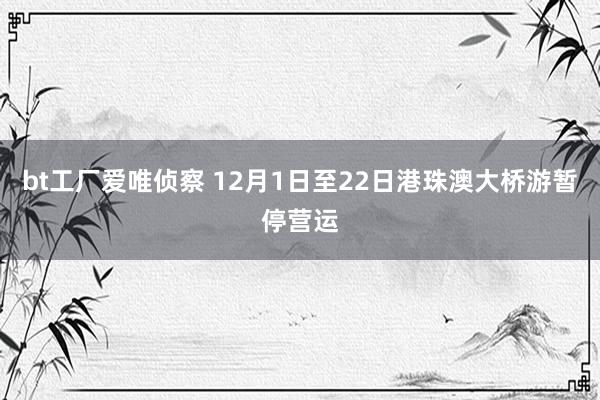 bt工厂爱唯侦察 12月1日至22日港珠澳大桥游暂停营运