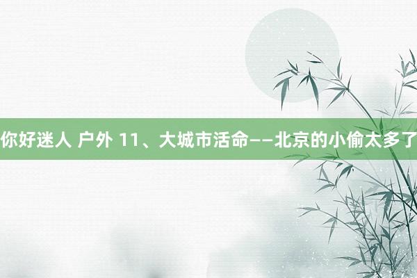 你好迷人 户外 11、大城市活命——北京的小偷太多了